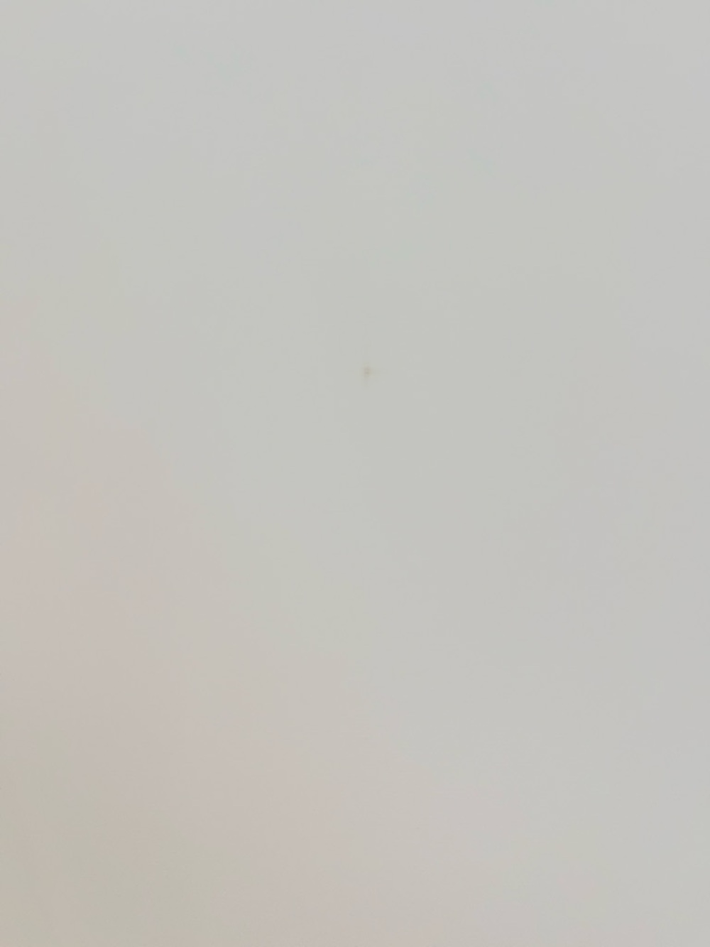 Black and White Girls Dress with Pearl Neckline - Picture 12 of 15